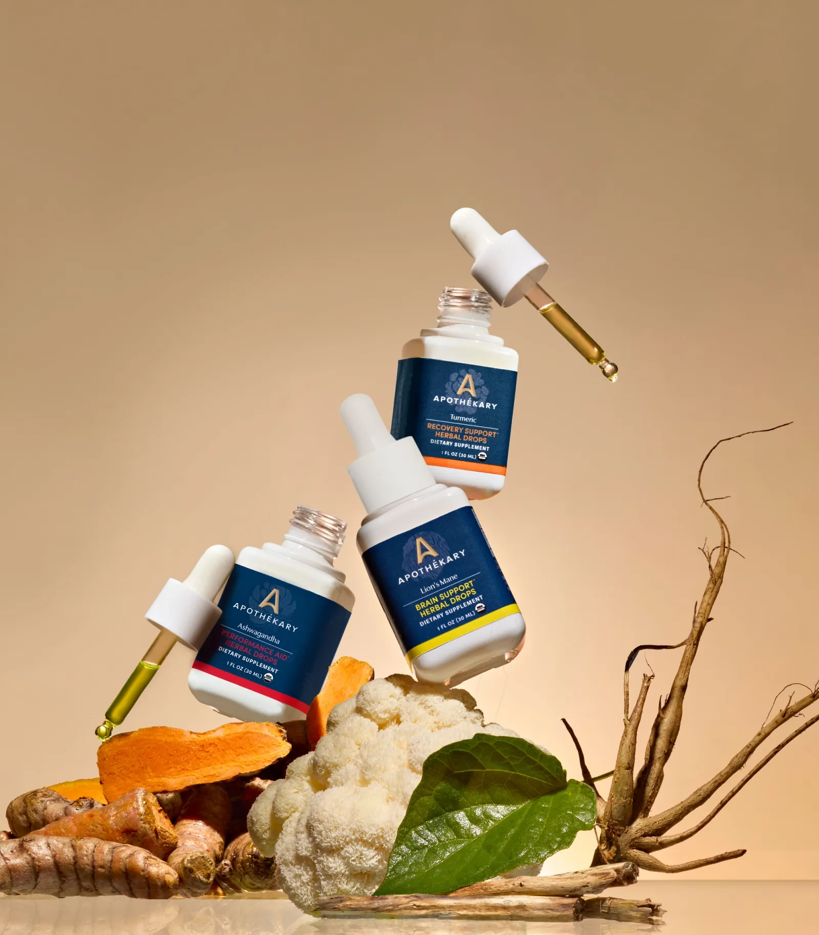 Ancient Traditions, Modern Vitality